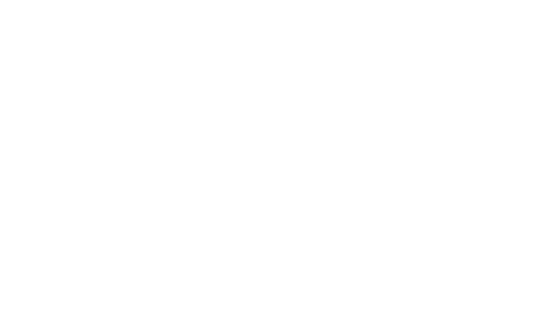 German Brand Award Special 2023